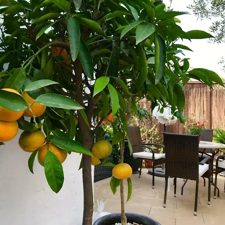 Appartement Mateo *