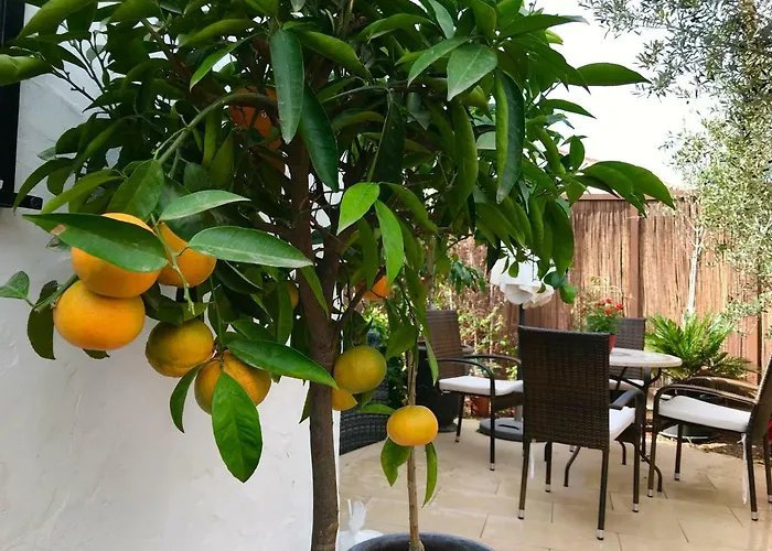 Apartament Mateo *